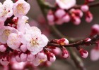 宝宝喝完奶总是打嗝？了解原因和缓解方法
